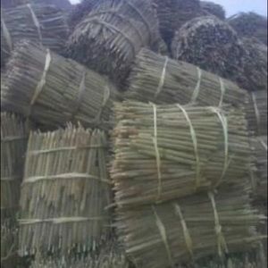 Meet your Posher, Ebrima